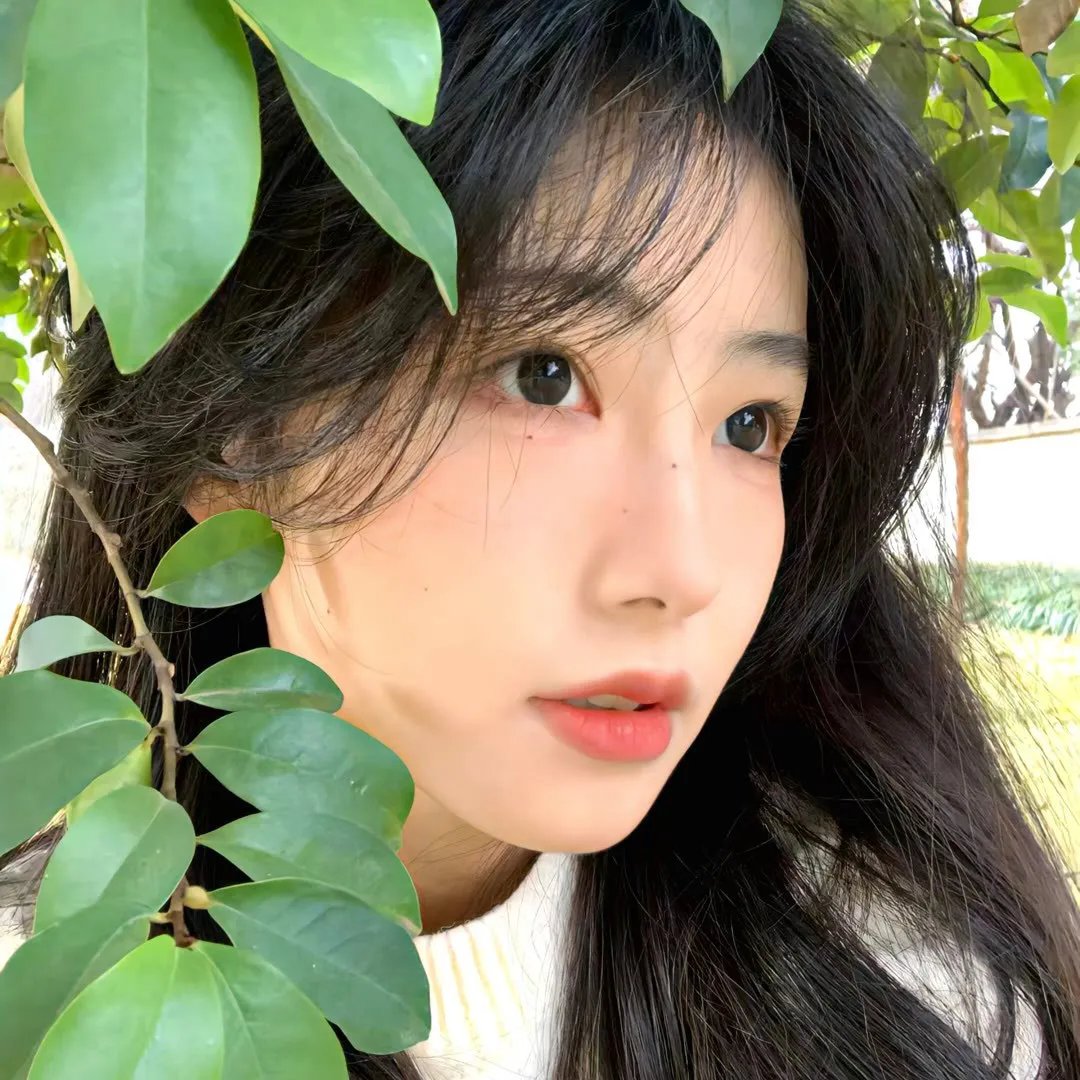 青春死党